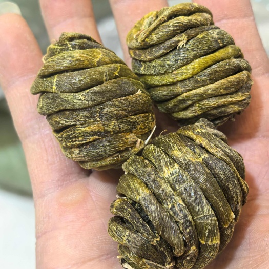 珍虫石斛枫斗颜色深绿，胶质丰富、全无渣