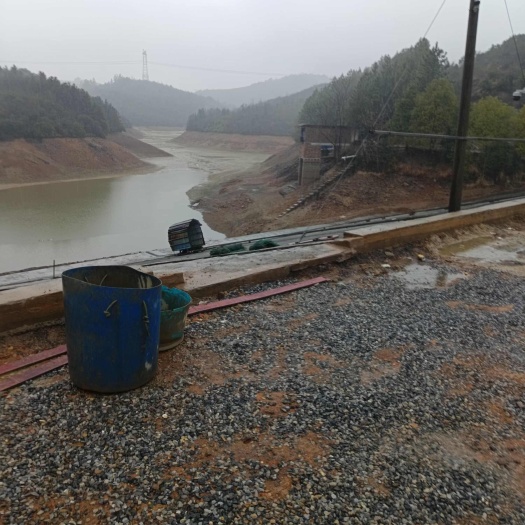湖南衡阳地区  水库  村集体资源出租