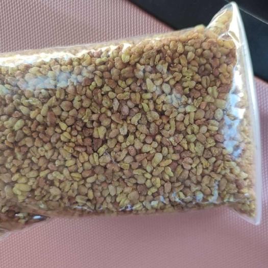 阳原县苦荞茶中大颗粒厂家直销，货比3家源头工厂