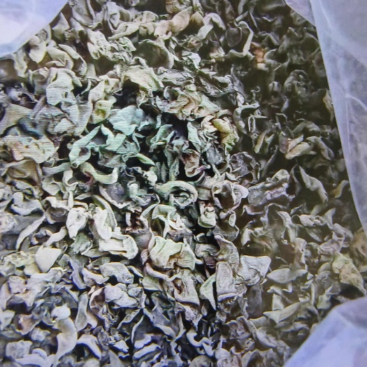 南宁小木耳