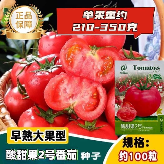 酸甜果2号大果水果番茄种子无限生长春秋播种沙瓤粉红西红柿种籽
