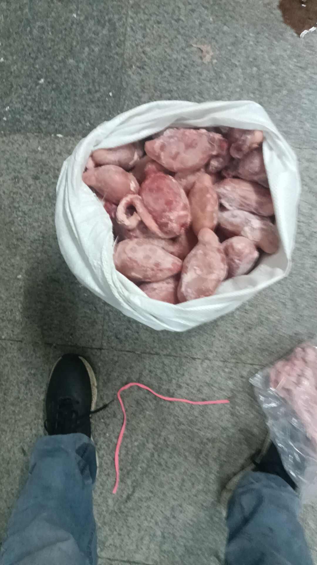羊肠