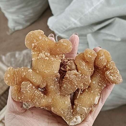 蓬溪县黄精干货，精品各个规格