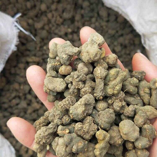 亳州中药材夏天无1千克