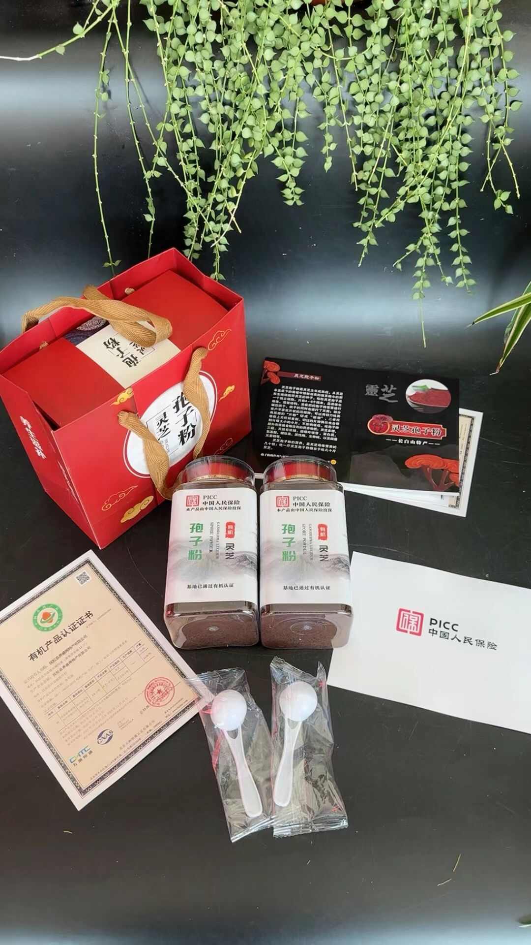 长白山头道灵芝孢子粉，碾压率高，更易吸收