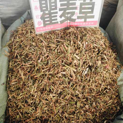 瞿麦 别名巨麦 翟麦 石竹/巨句 山瞿麦竹节草