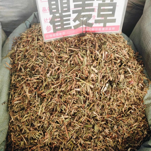 玉林瞿麦 别名巨麦 翟麦 石竹/巨句 山瞿麦竹节草