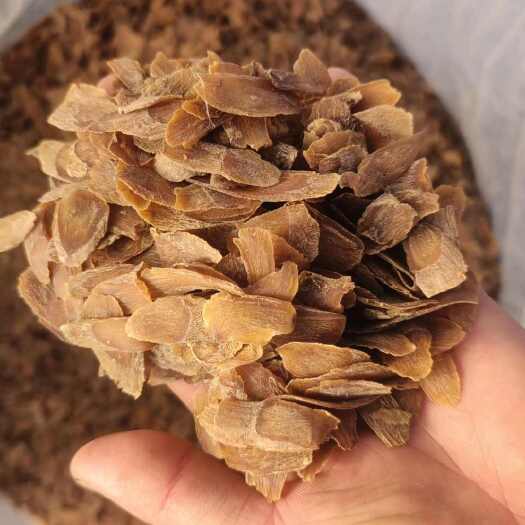 抚松县人参 红参片东北长白山人参片各种规格有货当天发货残片红参次片