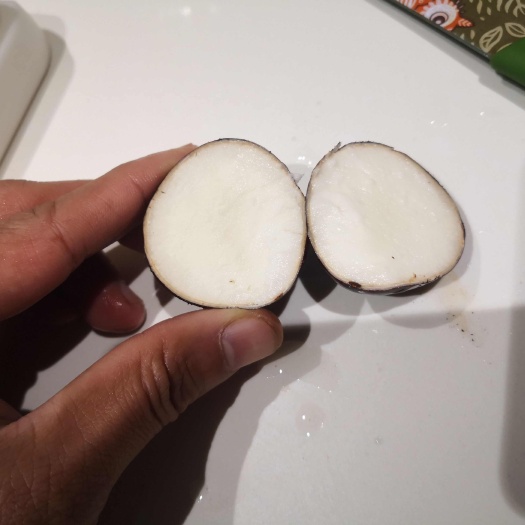 桂蹄