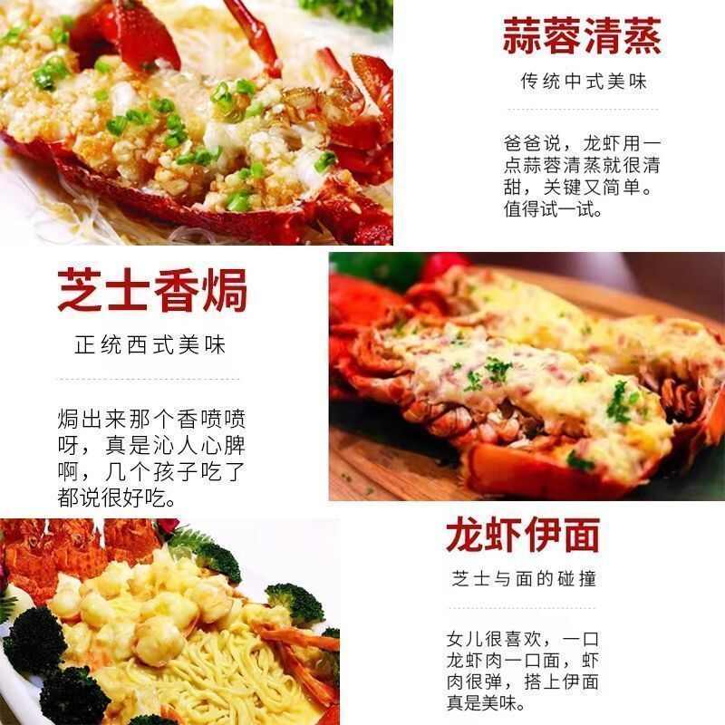 小青龙青龙虾鲜活冷冻大虾花龙特大青虾新鲜大龙