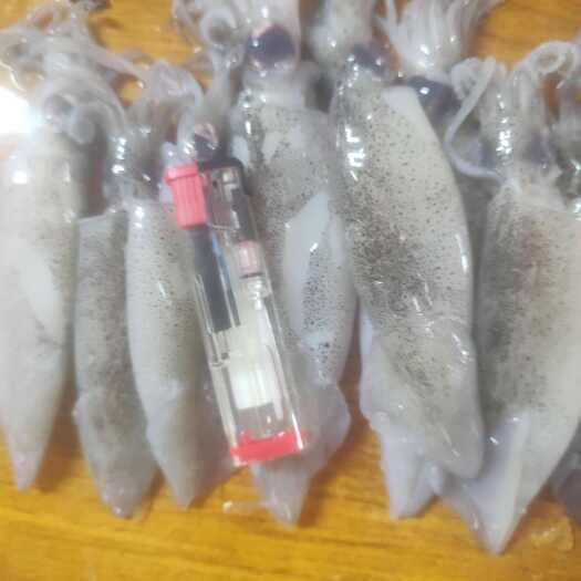 脆口鱿鱼捞汁可用