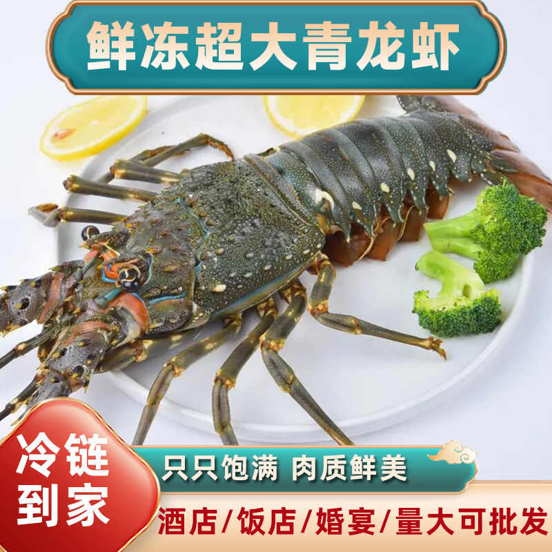 小青龙青龙虾鲜活冷冻大虾花龙特大青虾新鲜大龙