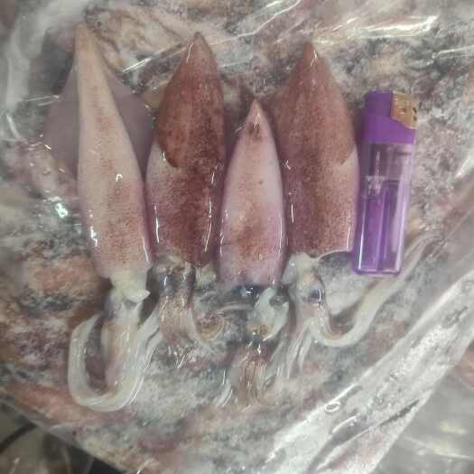 北海捞汁火锅爆炒可用，脆口鱿鱼