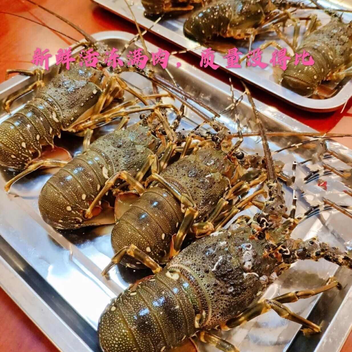 小青龙青龙虾鲜活冷冻大虾花龙特大青虾新鲜大龙