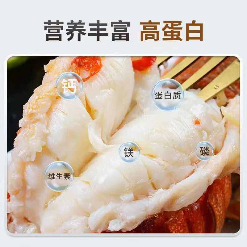 小青龙青龙虾鲜活冷冻大虾花龙特大青虾新鲜大龙