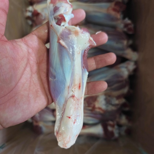 内蒙古草原羔羊前腱子 单个4_5两，烧烤店，常用产品