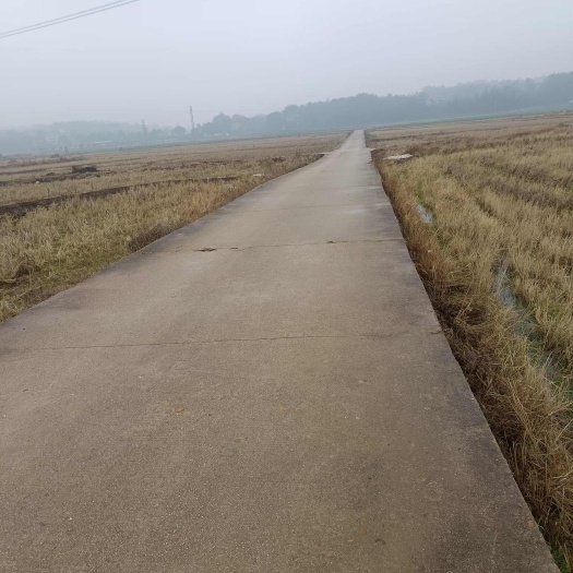 衡阳湖南衡阳地区  水田 村集体资源出租