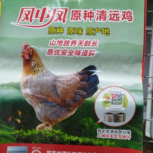 佛山农场直销 现货供应 优质家禽食材产地发货