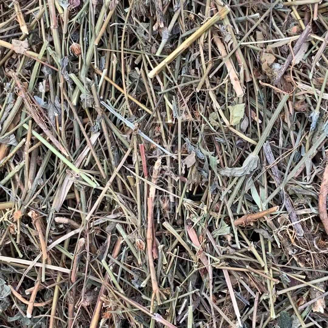 玉林长期供应｛田基黄｝可批量可零售量大从优【包邮】