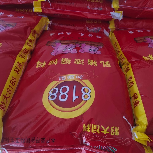 黔西市黔大8188 乳猪 浓缩饲料，