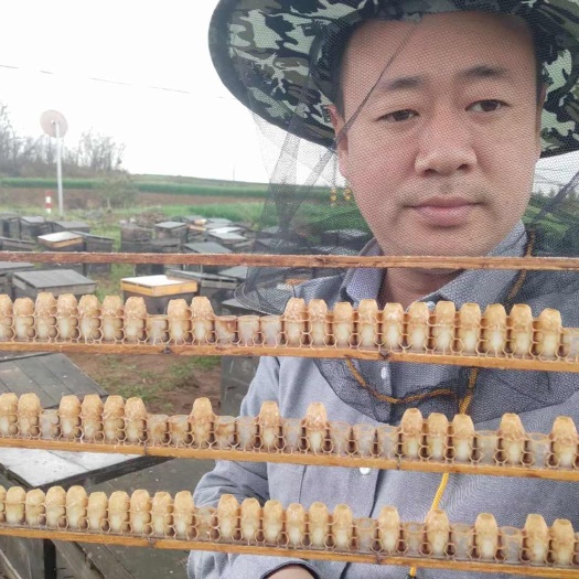宝鸡2025年新鲜头茬蜂王浆  蜂皇浆 蜂农自产