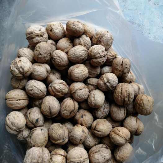 邯郸深山薄皮核桃，产地直发。