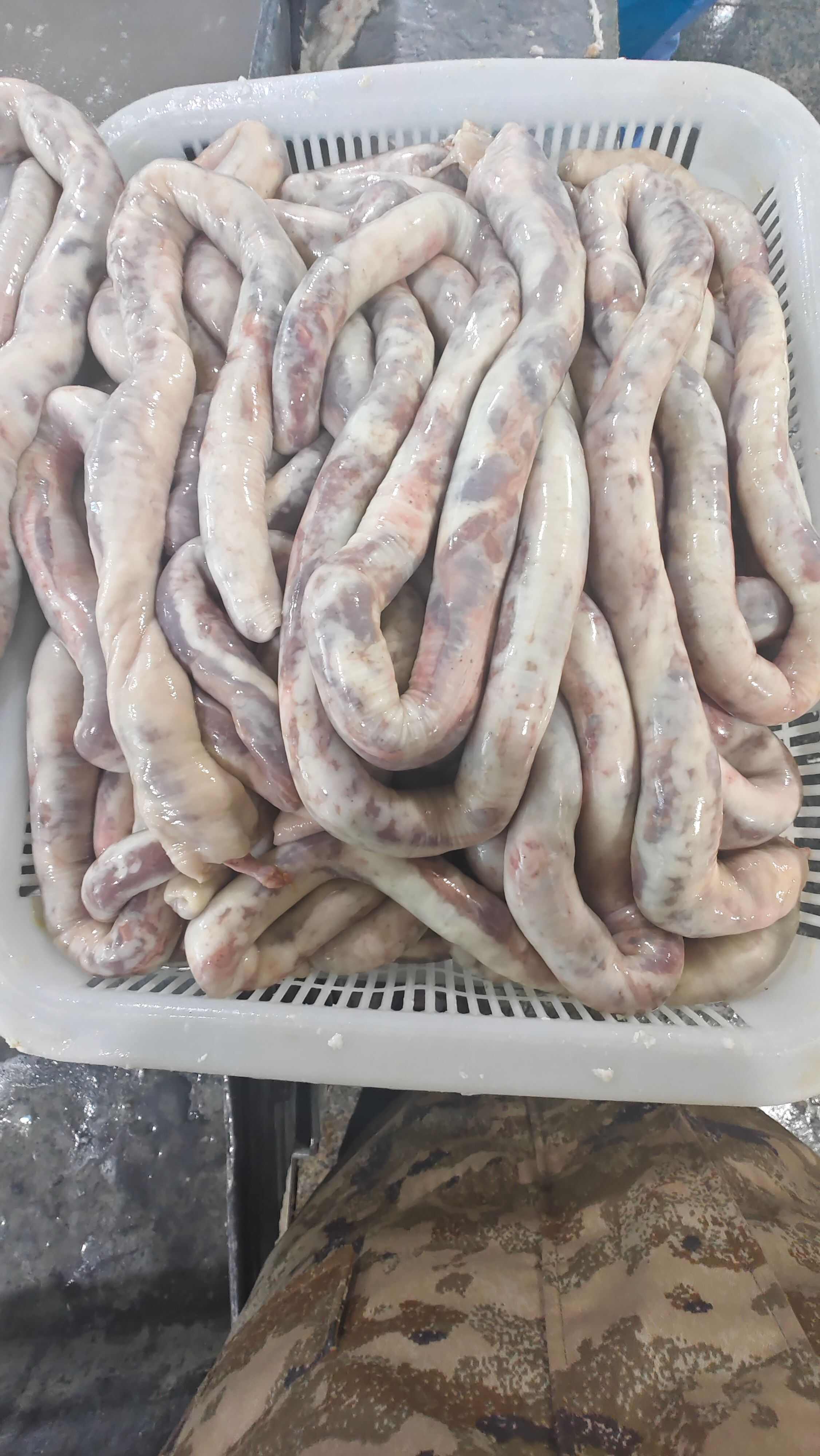 内蒙古锡林郭勒大草原新鲜羊美食