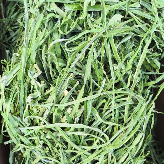 鹤庆县贡菜，贡菜断条，产地直发