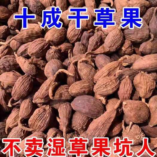 福贡县云南怒江草果 高级优惠新品香辛干调料原产地直发 无防腐