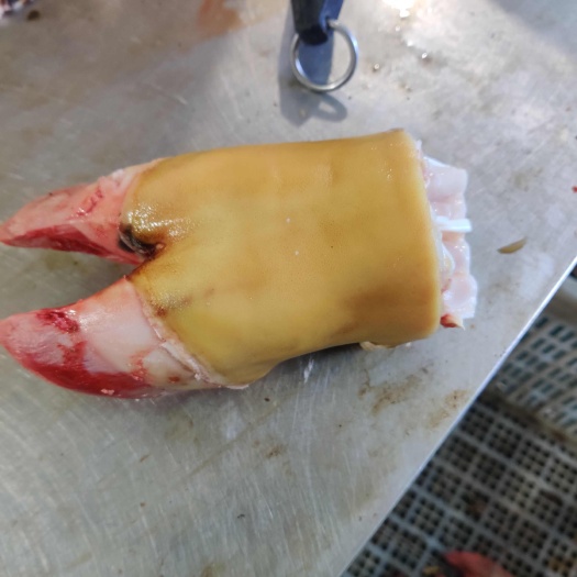 牛蹄，蹄婉儿（牛大小脸肉可咨询）
