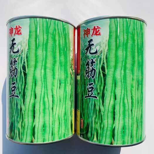 宿迁四季豆种子中国红无筋架豆种子