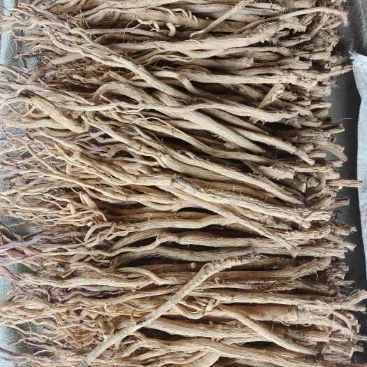 陇西县去头的防风，黄土地，白净