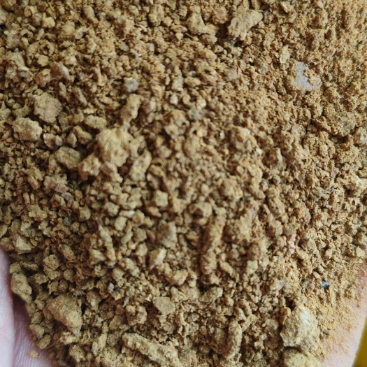 聊城棉饼养殖饲料，高蛋白