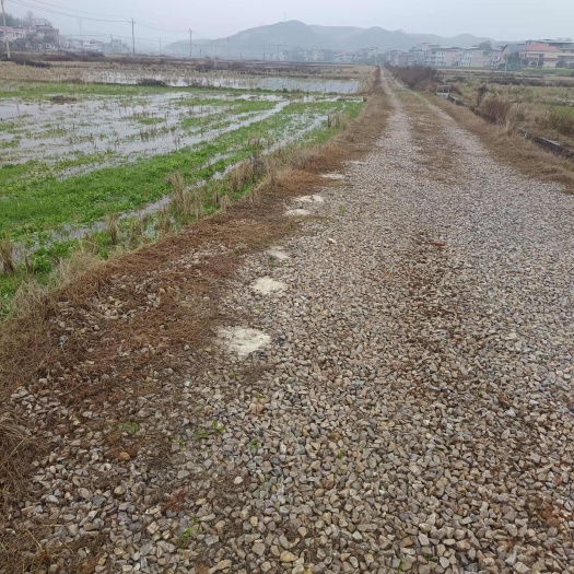 衡阳湖南衡阳地区  水稻田 村集体资源出租