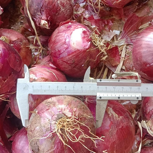 大葱当做小葱卖