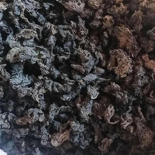 舟曲县免洗地皮菜，地软菜