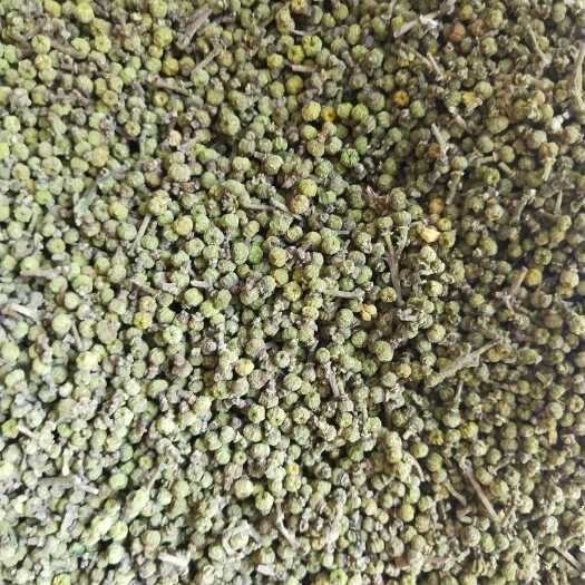 江西中花吴茱萸