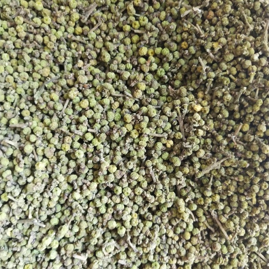 樟树市江西中花吴茱萸