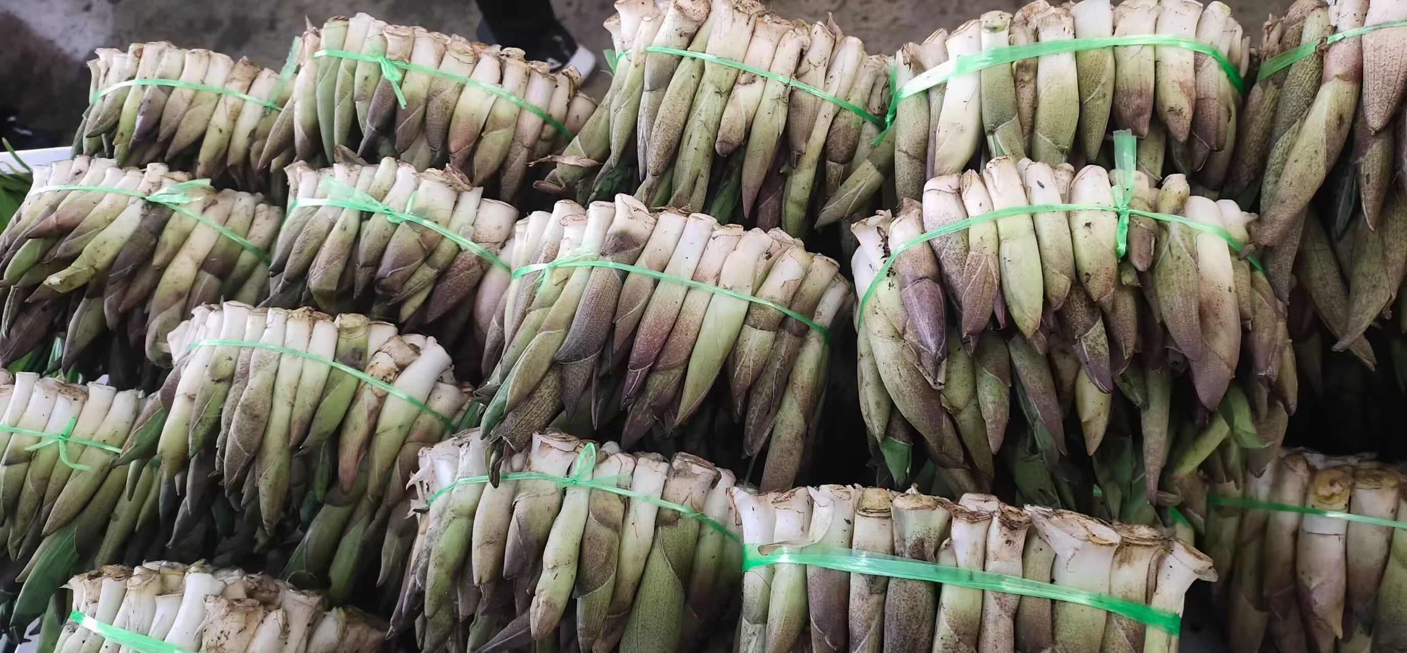 云南怒江新鮮空心菜生態(tài)種植現(xiàn)摘現(xiàn)發(fā)