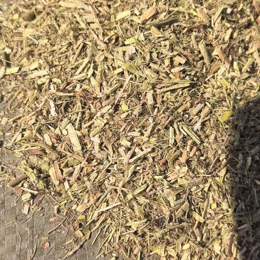 大名县花生秧草粉    羊草