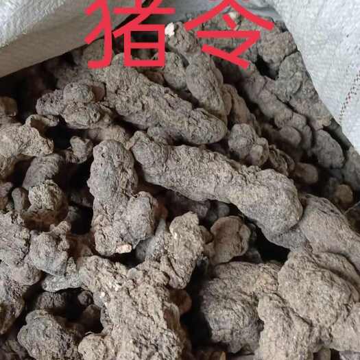 陕西汉中产地直供猪苓猪苓饮片