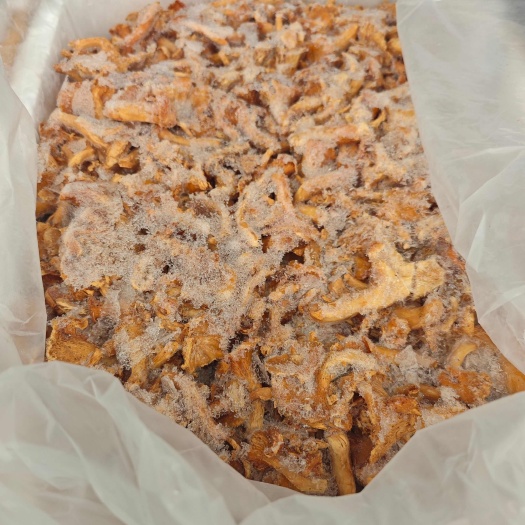 昆明鲜鸡油菌，美味山珍产地云南