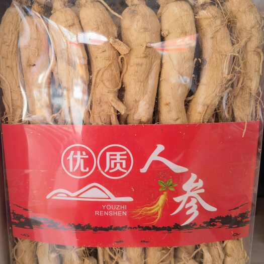 亳州人参 人参个子