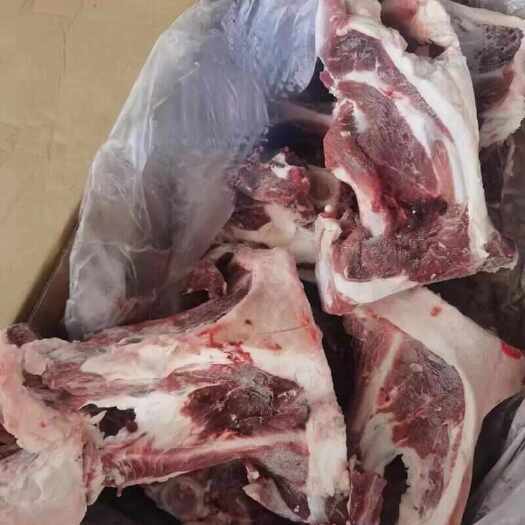 河间市满肉羊夸骨，肉多，好熟，一手货源，价格便宜