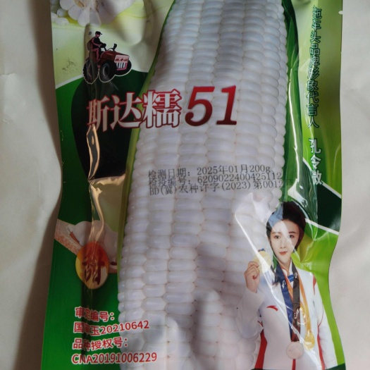 泌阳县斯达糯54 斯达糯38斯达糯51甜糯玉米种子软质甜味糯苞叶绿