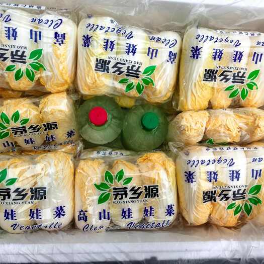 仁怀市贵州省仁怀市乡镇种植有机娃娃菜