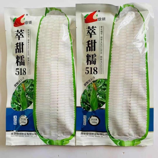 泌阳县甜加糯玉米种子萃甜糯518萃糯5号穗轴白色口感甜糯籽粒白色