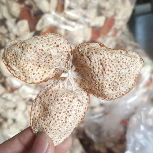 老树陈皮