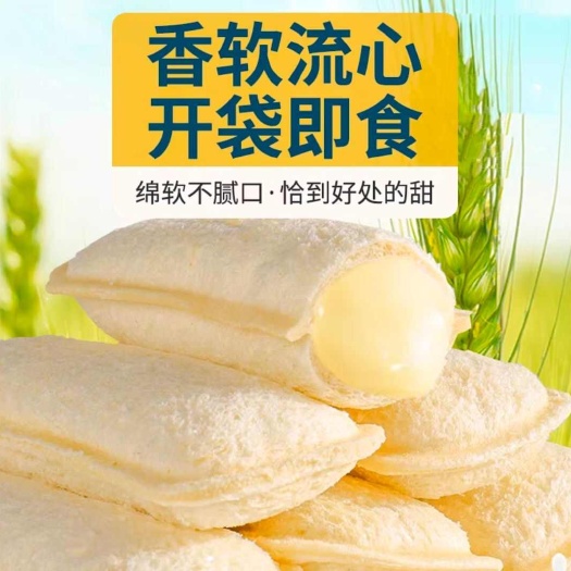 乳酸菌口袋面包