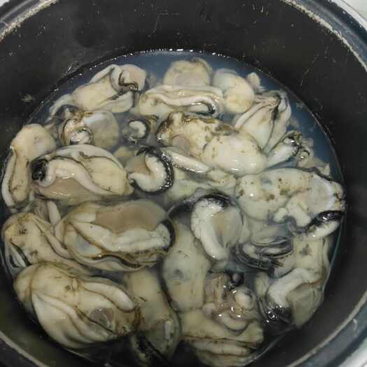 海丰县广东汕尾咸水酥脆生蚝，量大，原产地直发，价格私聊